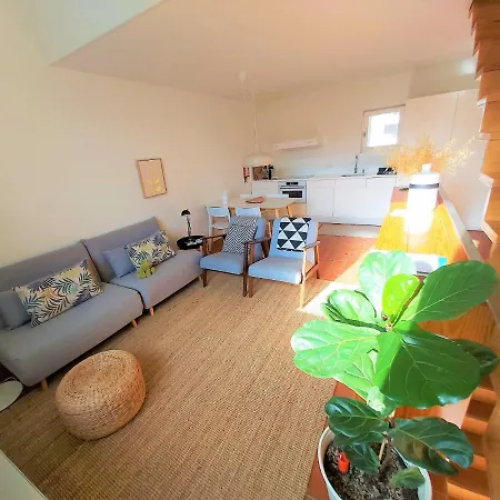 Architect Arts Elegant Bf